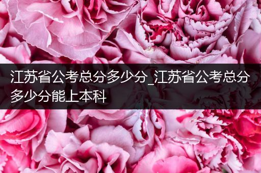 江苏省公考总分多少分_江苏省公考总分多少分能上本科