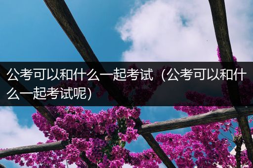 公考可以和什么一起考试（公考可以和什么一起考试呢）