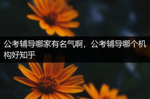 公考辅导哪家有名气啊，公考辅导哪个机构好知乎