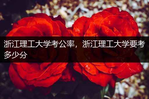 浙江理工大学考公率，浙江理工大学要考多少分