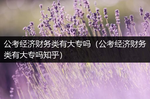 公考经济财务类有大专吗（公考经济财务类有大专吗知乎）