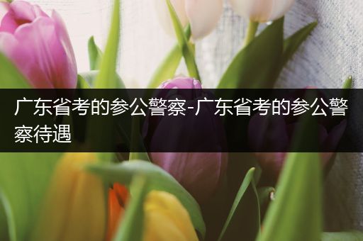 广东省考的参公警察-广东省考的参公警察待遇
