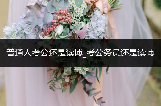 普通人考公还是读博_考公务员还是读博