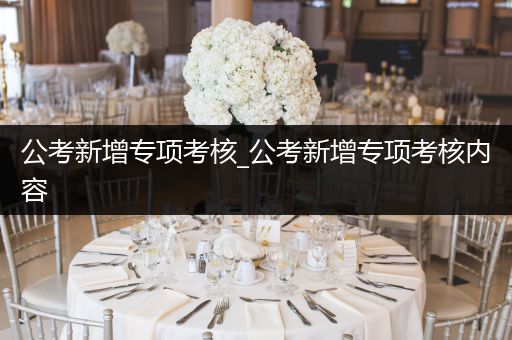 公考新增专项考核_公考新增专项考核内容