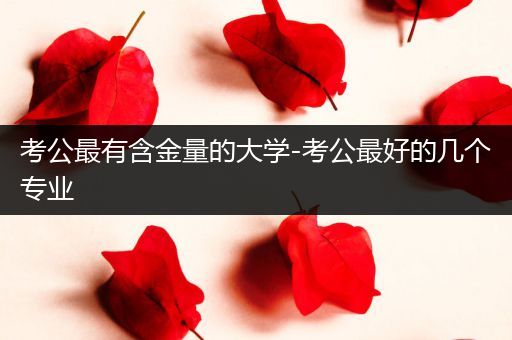 考公最有含金量的大学-考公最好的几个专业
