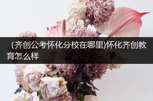 （齐创公考怀化分校在哪里)怀化齐创教育怎么样