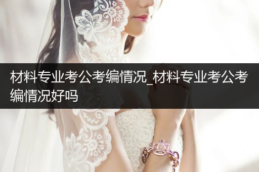 材料专业考公考编情况_材料专业考公考编情况好吗