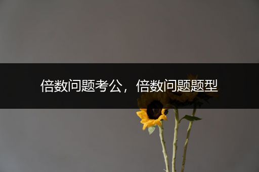 倍数问题考公，倍数问题题型
