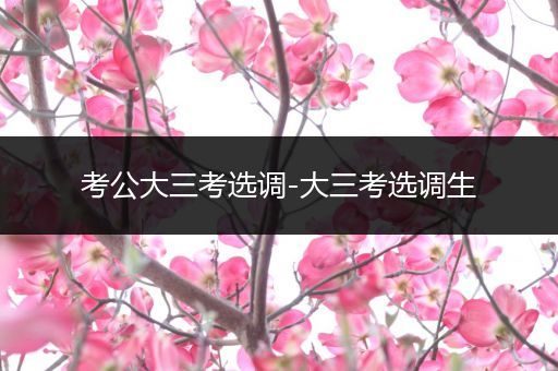 考公大三考选调-大三考选调生