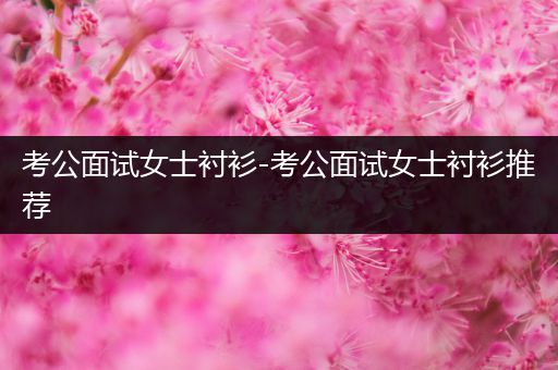 考公面试女士衬衫-考公面试女士衬衫推荐