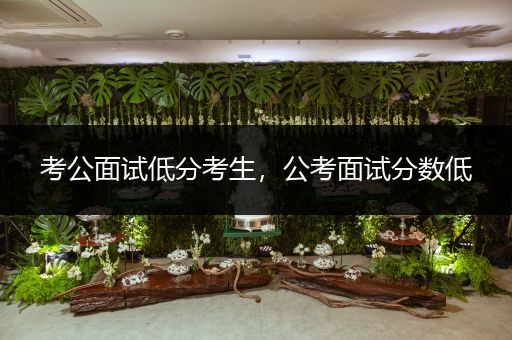 考公面试低分考生，公考面试分数低