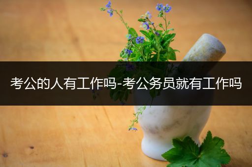 考公的人有工作吗-考公务员就有工作吗