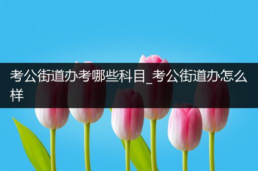 考公街道办考哪些科目_考公街道办怎么样