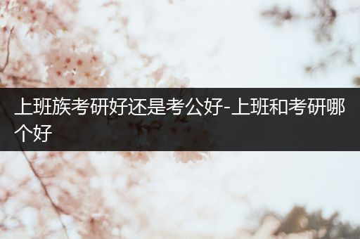 上班族考研好还是考公好-上班和考研哪个好