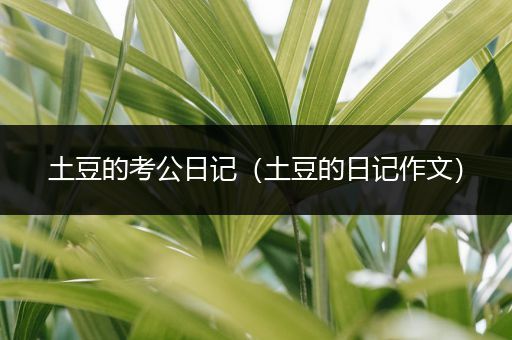 土豆的考公日记（土豆的日记作文）