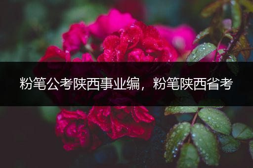 粉笔公考陕西事业编，粉笔陕西省考