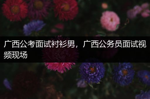 广西公考面试衬衫男，广西公务员面试视频现场