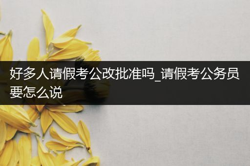 好多人请假考公改批准吗_请假考公务员要怎么说