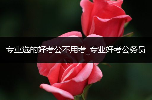 专业选的好考公不用考_专业好考公务员