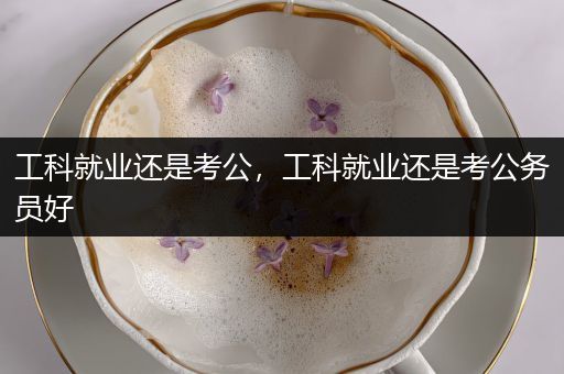 工科就业还是考公，工科就业还是考公务员好