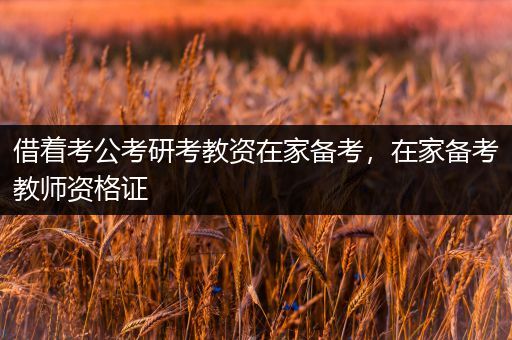 借着考公考研考教资在家备考，在家备考教师资格证