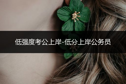 低强度考公上岸-低分上岸公务员