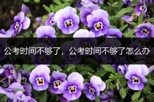 公考时间不够了，公考时间不够了怎么办