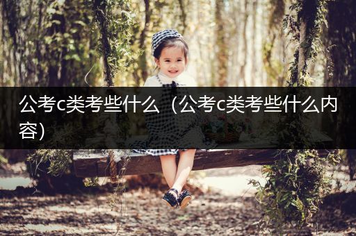 公考c类考些什么（公考c类考些什么内容）