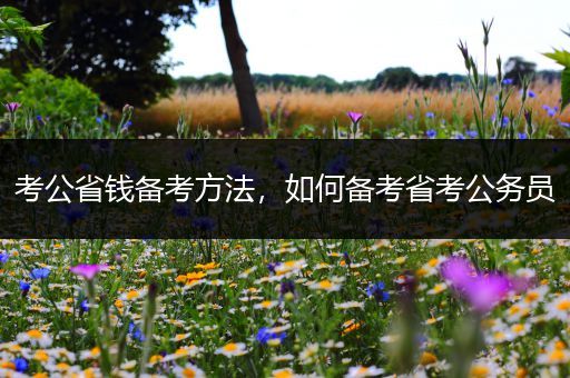 考公省钱备考方法，如何备考省考公务员