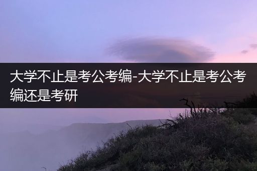 大学不止是考公考编-大学不止是考公考编还是考研