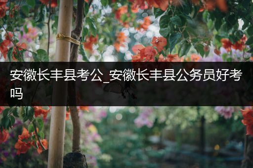 安徽长丰县考公_安徽长丰县公务员好考吗