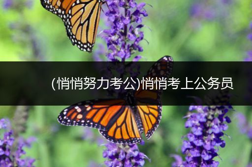 （悄悄努力考公)悄悄考上公务员