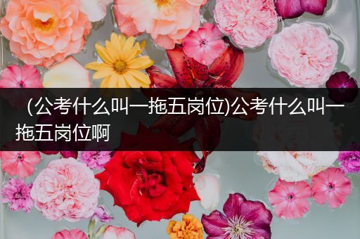 （公考什么叫一拖五岗位)公考什么叫一拖五岗位啊