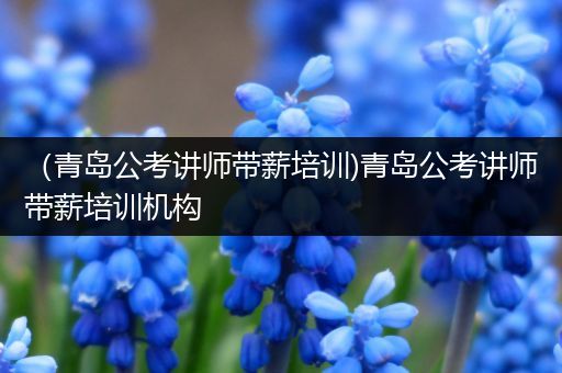 （青岛公考讲师带薪培训)青岛公考讲师带薪培训机构
