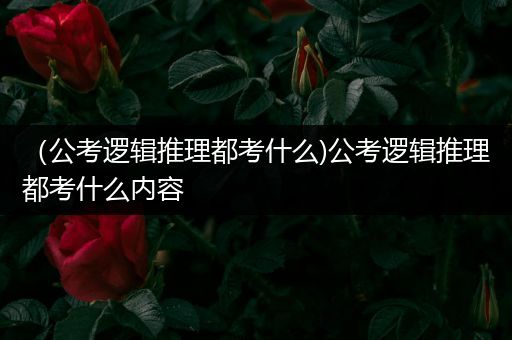 （公考逻辑推理都考什么)公考逻辑推理都考什么内容