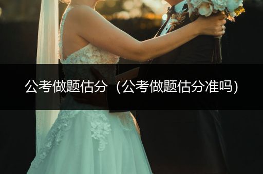 公考做题估分（公考做题估分准吗）