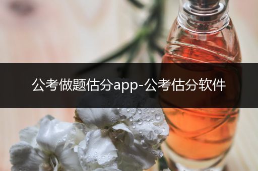 公考做题估分app-公考估分软件