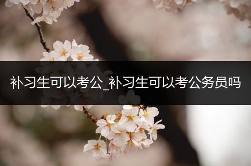 补习生可以考公_补习生可以考公务员吗