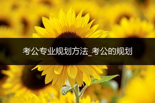 考公专业规划方法_考公的规划