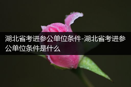 湖北省考进参公单位条件-湖北省考进参公单位条件是什么