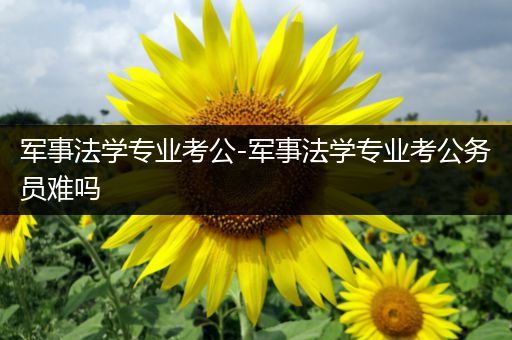 军事法学专业考公-军事法学专业考公务员难吗