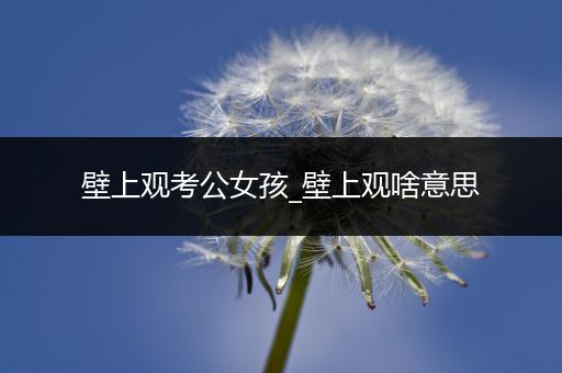 壁上观考公女孩_壁上观啥意思