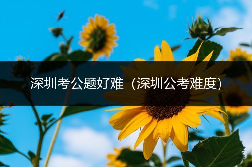 深圳考公题好难（深圳公考难度）