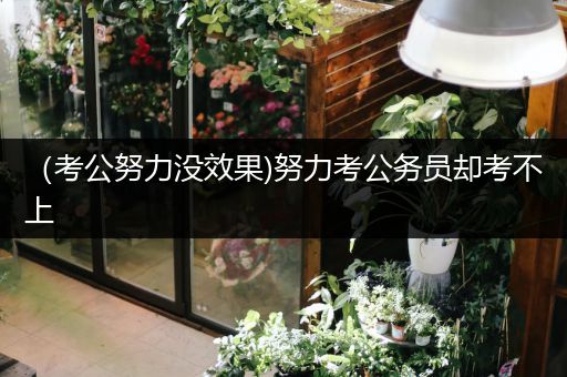 （考公努力没效果)努力考公务员却考不上