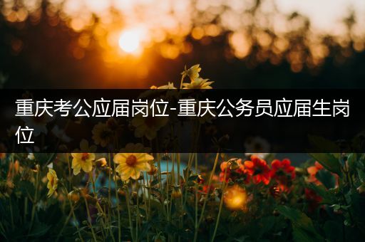 重庆考公应届岗位-重庆公务员应届生岗位