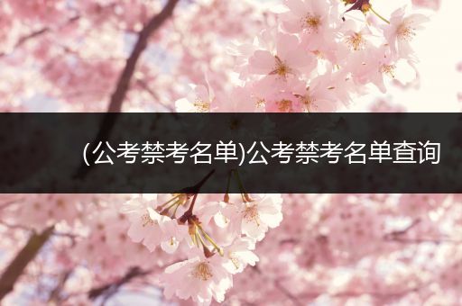（公考禁考名单)公考禁考名单查询
