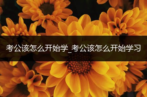 考公该怎么开始学_考公该怎么开始学习