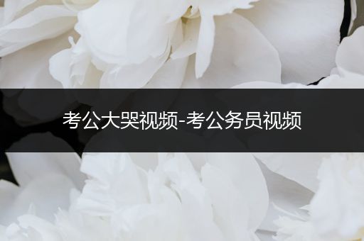 考公大哭视频-考公务员视频