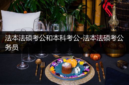法本法硕考公和本科考公-法本法硕考公务员