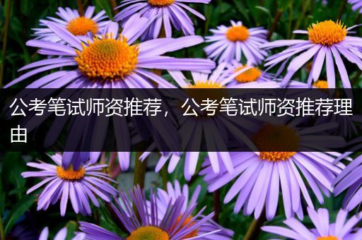 公考笔试师资推荐，公考笔试师资推荐理由